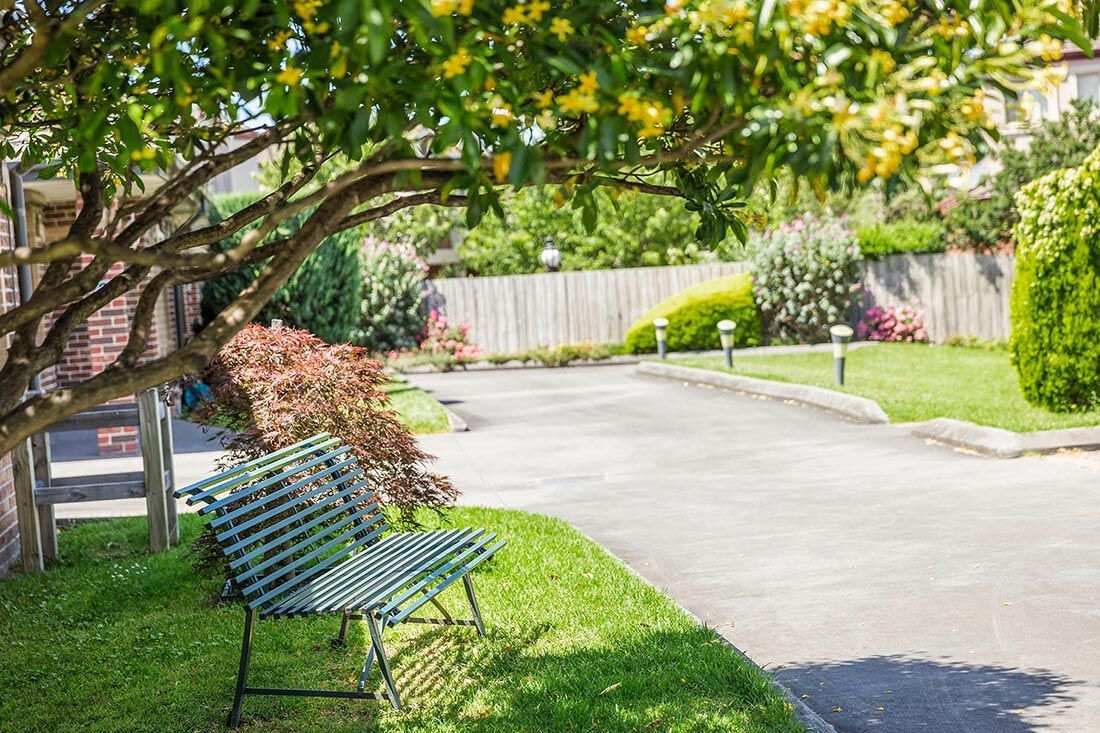 Garden bench under a flowering tree in our village grounds